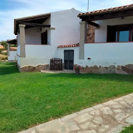 My Tiffany 塔瑙内拉